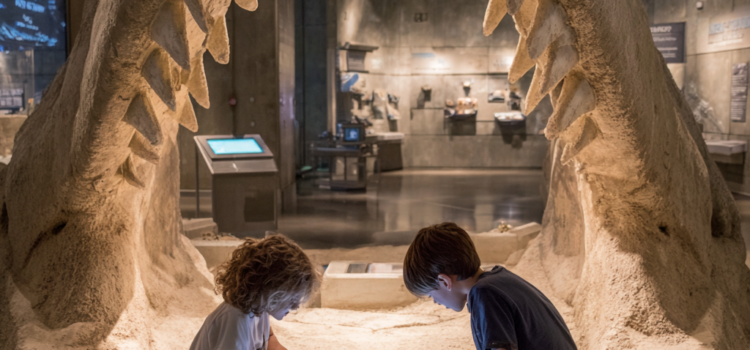 Why Some Museums Can Win Over Even People Who Think Museums Are Boring