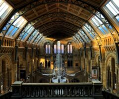 Unknown World Museums