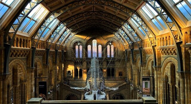 Unknown World Museums