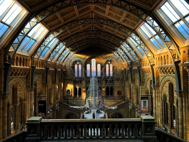 Unknown World Museums