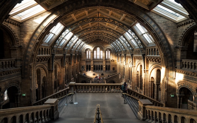 Exploring Ballet Exhibitions in Museums